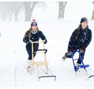 Kicksledding Tour - Half Day