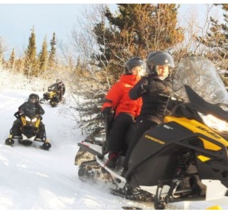 Snowmobiling - Half Day