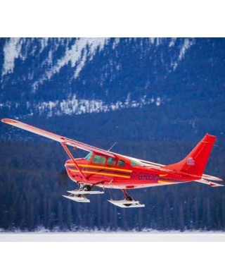 Tours By Plane