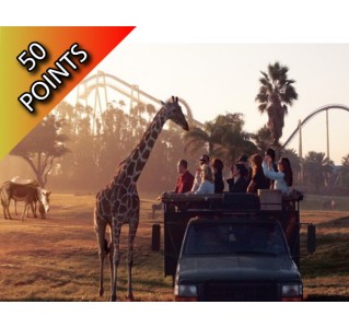 Busch Gardens Serengeti Safari 