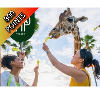 Busch Gardens Tampa® Elite VIP Tour