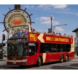 Super Saver: Muir Woods + Hop On/Off City Tour Combo