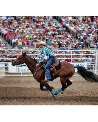 Calgary Stampede