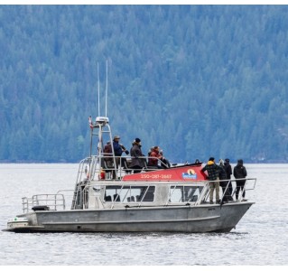 Spring Bear and Waterfall Tour