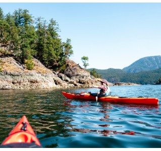 Full Day Kayaking with Whales