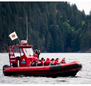 4 Hour Zodiac Whale and Wildlife Tour Campbell River