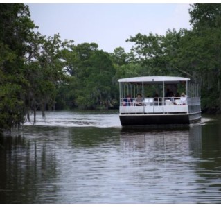 New Orleans Covered Pontoon Swamp Tour