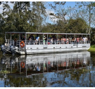 New Orleans Covered Pontoon Swamp Tour
