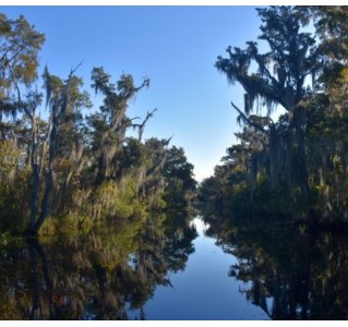 New Orleans Premium Small Airboat Ride