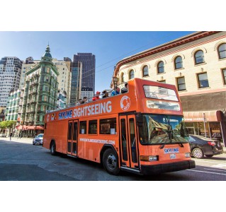 2 Day Hop-On Hop-Off & Night Tour