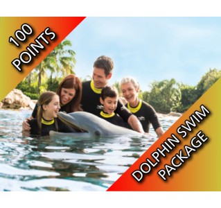 Discovery Cove Dolphin Swim Package 