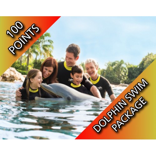 Discovery Cove Dolphin Swim Package 