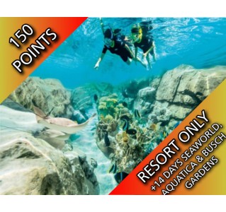 Discovery Cove Ultimate Non-Dolphin swim + SeaWorld / Aquatica / Busch Gardens & FREE Parking