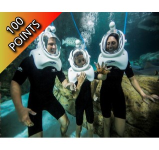 Discovery Cove SeaVenture