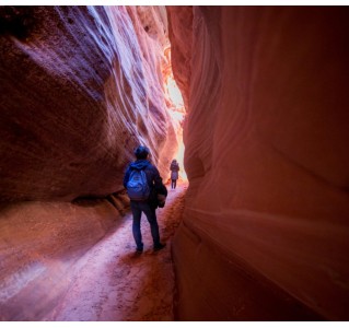 Slot Canyon and Dinosaur Track Combo Tour (Half Day)