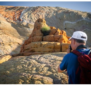Grand Staircase Hiker’s Dream (Full Day)