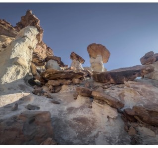 The Enchanted Hoodoo Forest (Half Day)