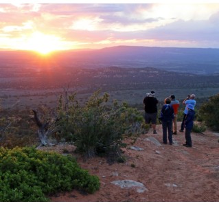 Peekaboo Slot Canyon & Sunset Safari (Half Day)