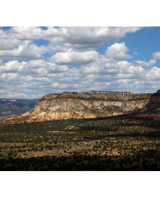 Kanab