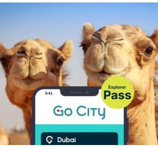Dubai Explorer Pass (3 Choices)