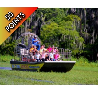 1 Hour Everglades Tour & Wildlife Park with Transportation