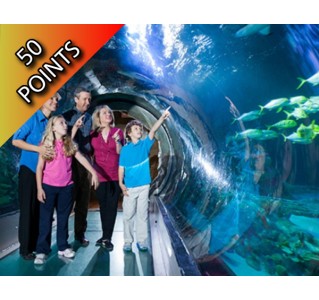 Sea Life Orlando at ICON Park, Orlando