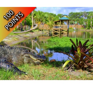 Wild Florida Animal Encounter (WF20)