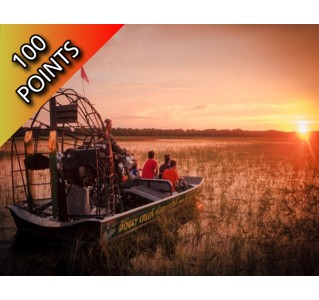 Boggy Creek Sunset Tour: 1 Hour Airboat Adventure 