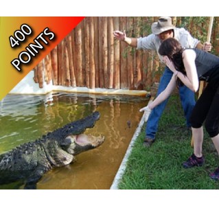 Gatorland Admission Ticket & Trainer For a Day