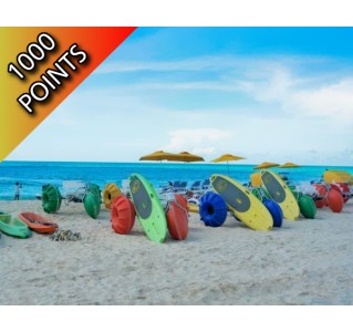 Day Trip to Bimini - Economy Class