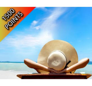 Day Trip to Bimini - Premium Economy Class