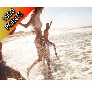 Overnight in Bimini - Economy Class 