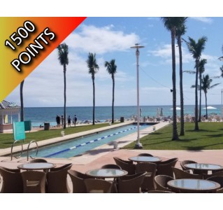 Day Trip to Freeport - Premium Economy Class