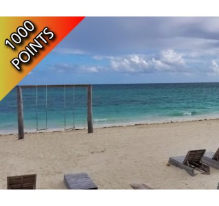 Day Trip to Freeport - Economy Class