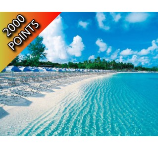 Overnight in Bimini - Premium Economy Class