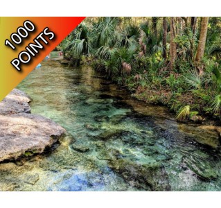 Rock Springs River Tubing & Apopka Wildlife Adventure with Transportation