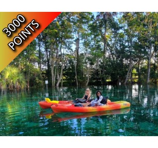 3 Night "Break Away" at Crystal River, Manatee Swim & Boat Tour