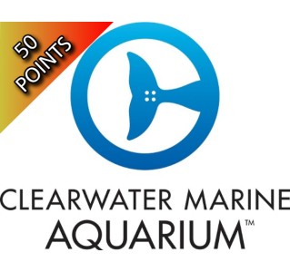 Clearwater Marine Aquarium (Admission Only)
