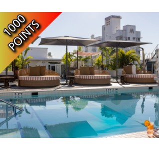 3 Night Miami Package including return train from Orlando