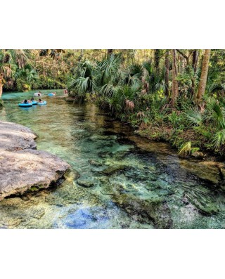 Apopka Wildlife Adventure