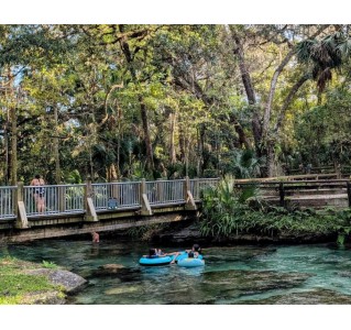Rock Springs River Tubing & Apopka Wildlife Adventure with Transportation