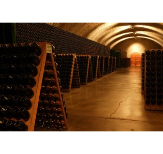 Super Saver: Muir Woods, Sausalito & Half Day Wine Country (9 hrs) Super Saver: Muir Woods, Sausalito & Half Day Wine Country (9 hrs)