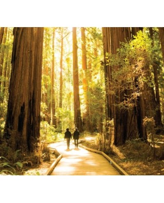SF Bus Day Tours