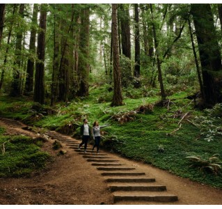 Full Day Famous Tour with Muir Woods (7 Hours)