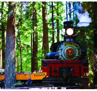 Redwood Forest Train