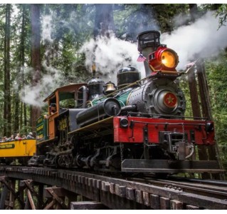 Redwood Forest Train