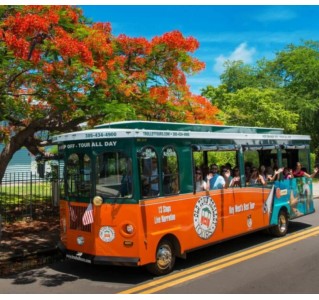 1 Day Old Town Hop-On, Hop-Off Trolley Tour