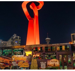 San Antonio Holiday Sights and Festive Nights Tour