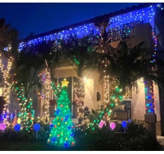 San Diego Holiday Sights and Festive Nights Tour