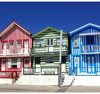 Aveiro Tour with Moliceiro Cruise - Half Day
